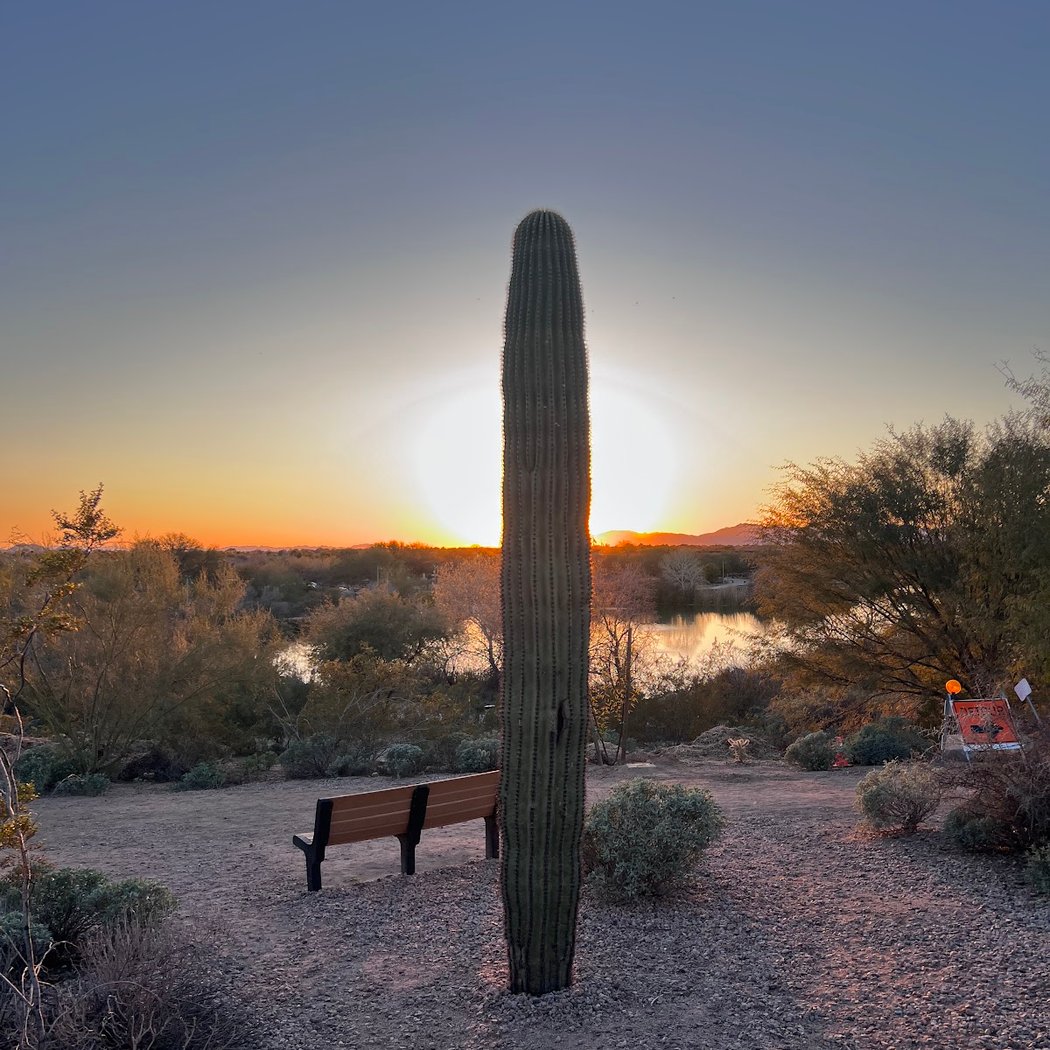 Sonoran Sunset Series - What's Left 2