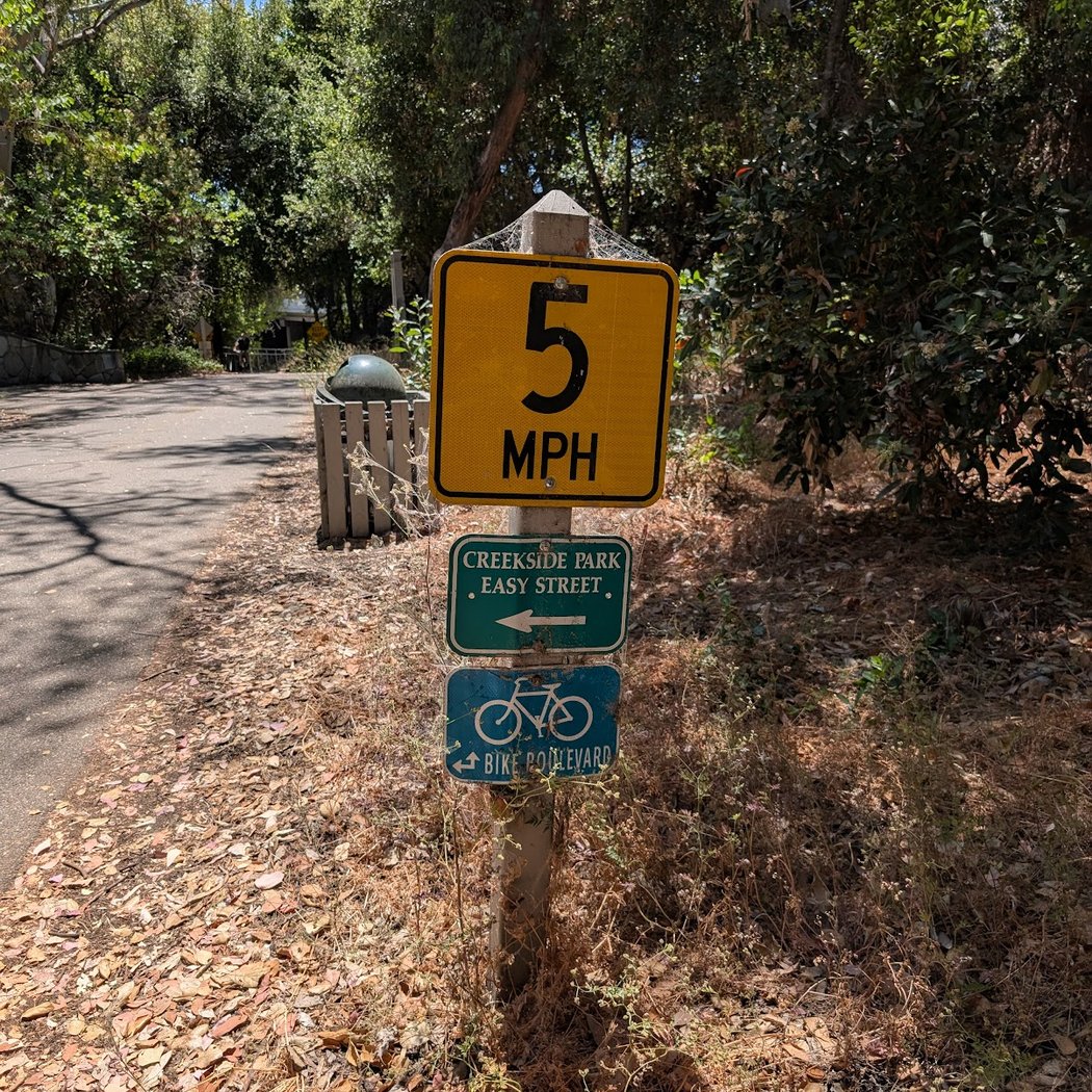 Stevens Creek Trail 3