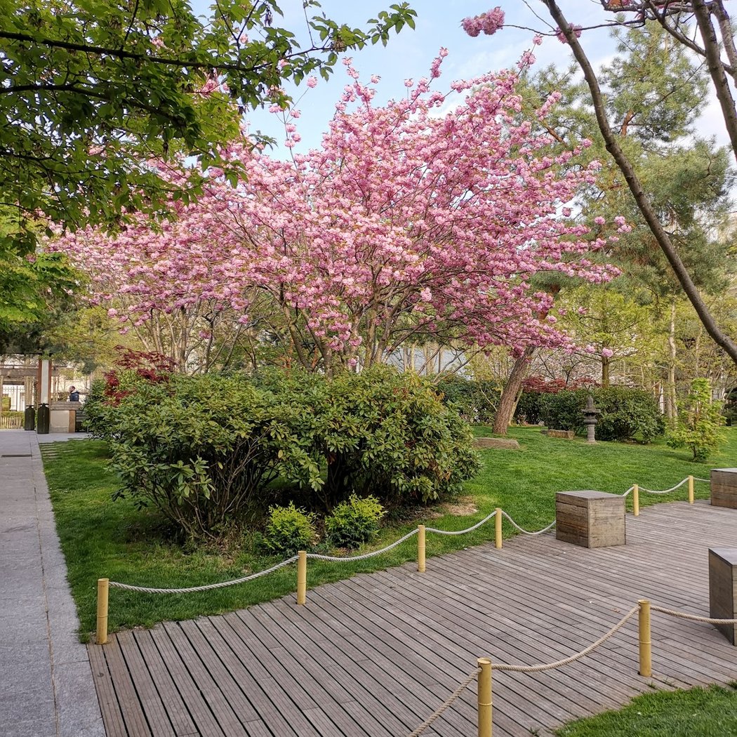 Parc des 5 Continents 4