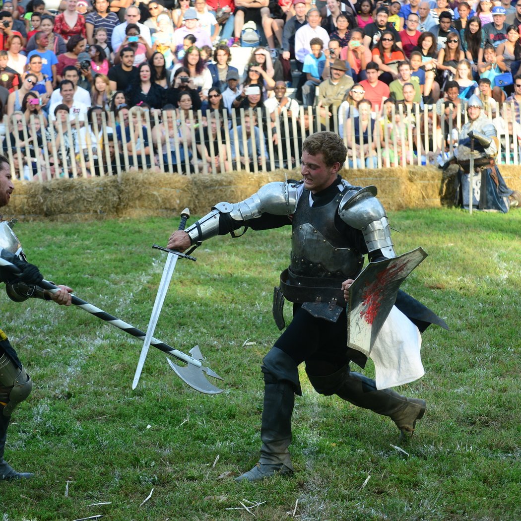 Medieval Festival 2