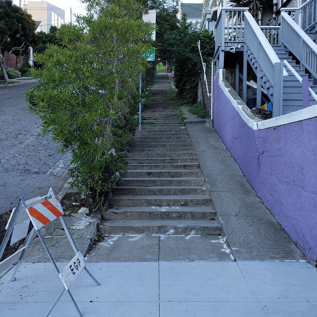 The Purple House 3