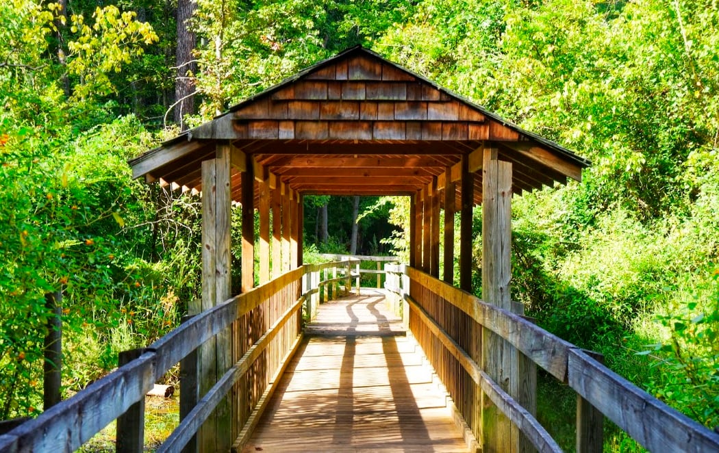 Newman Wetlands Center 3