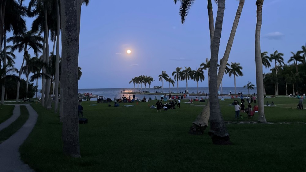 Moon Viewing 1