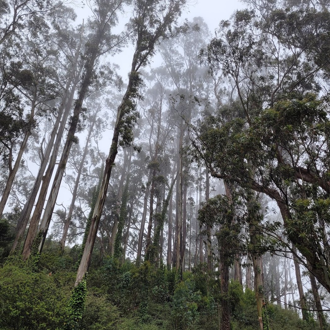 Tennessee Valley Road 3