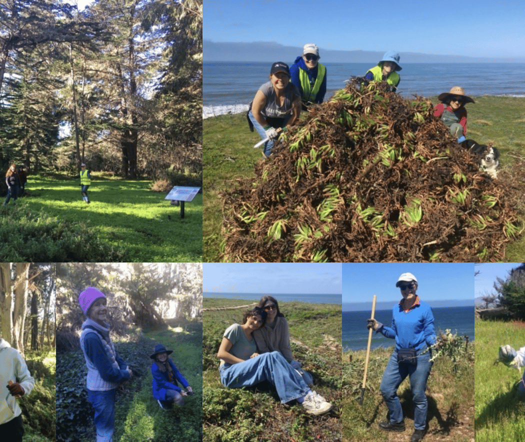 Habitat Heroes Restoration Day