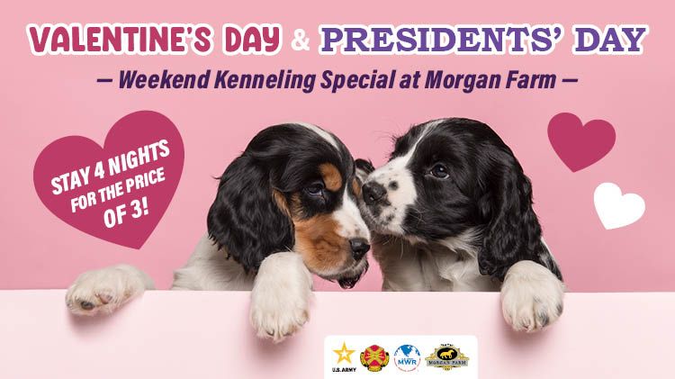 Valentine’s Day and Presidents’ Day Weekend Kenneling Special 1