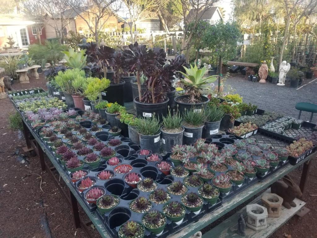 Bearscapes Nursery/Landscaping on Eden plains rd 3