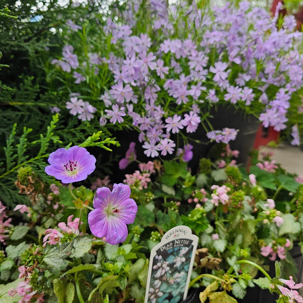 Chavez Garden Center LLC 3