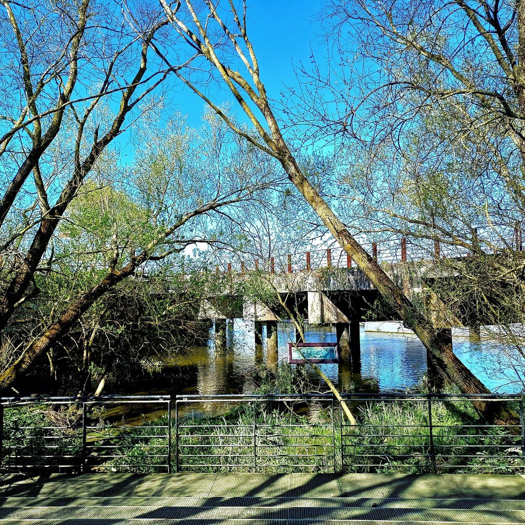 Estuaire Garden 1