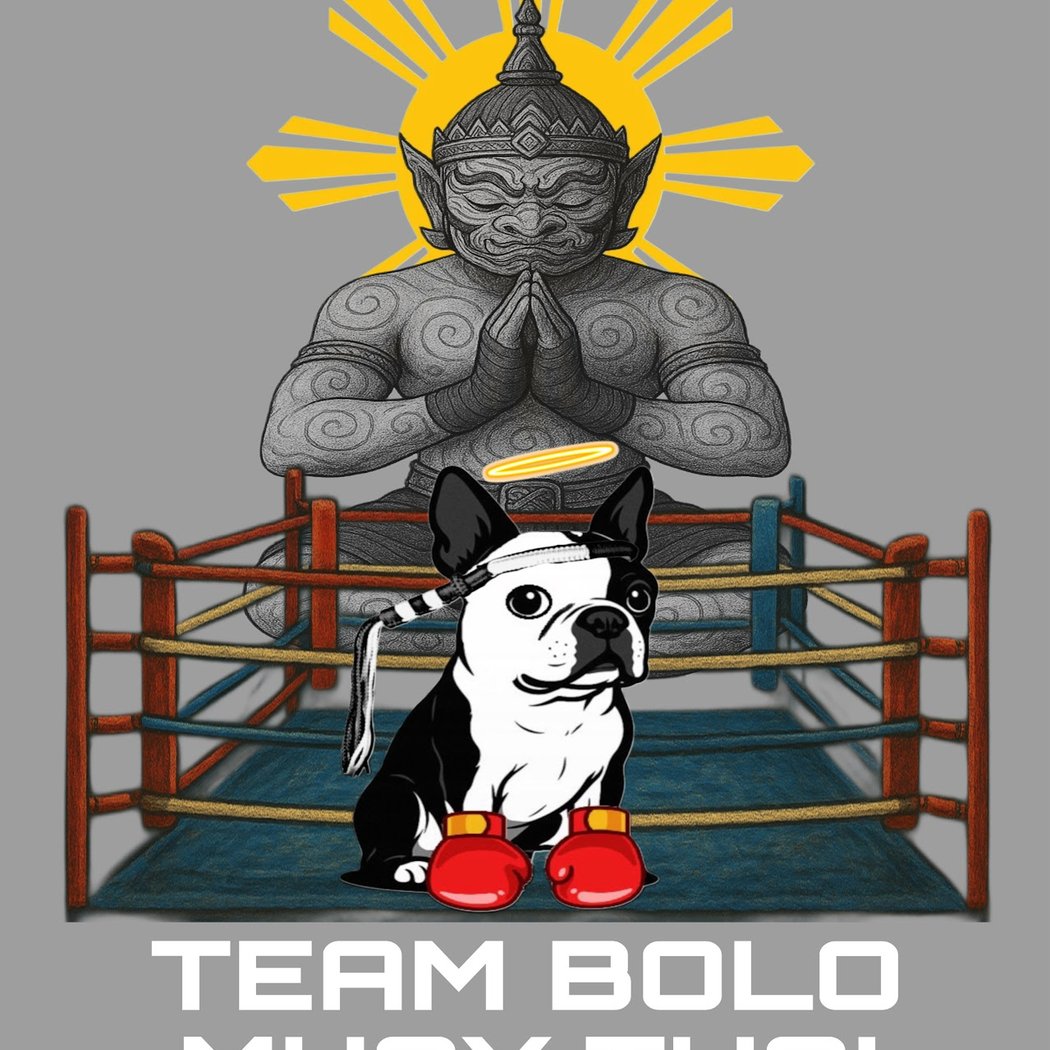 Team Bolo Martial Arts and Self Defense 2