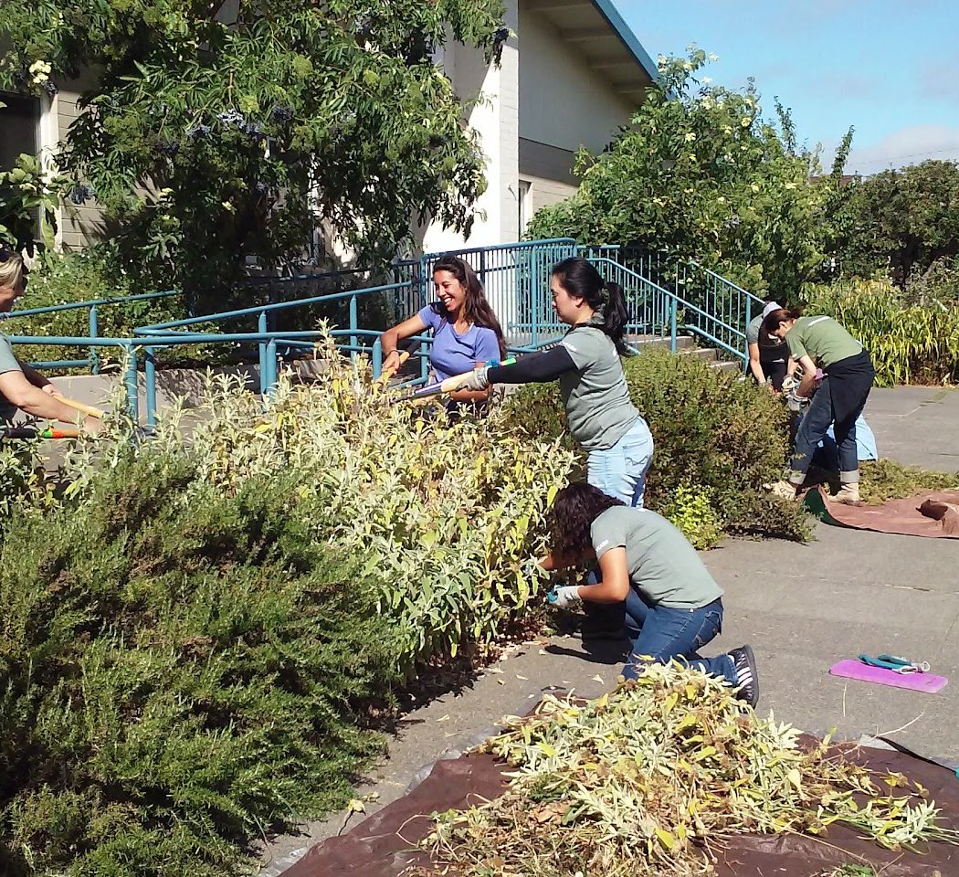 Garden Stewards May Workday 1