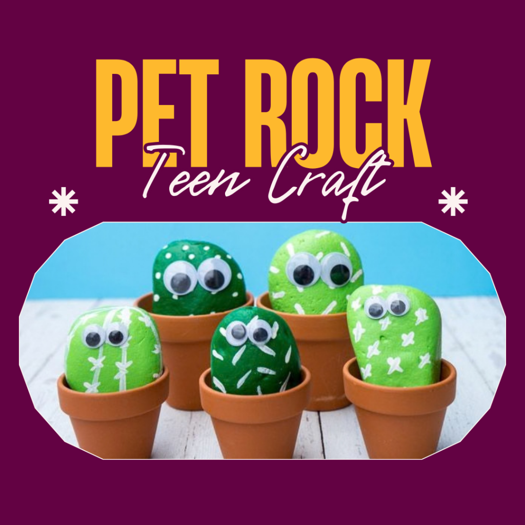 Teen Pet Rock Craft 1