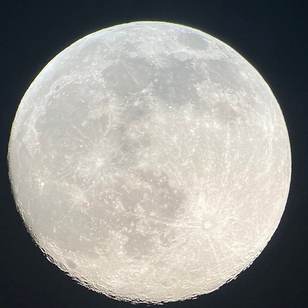 Stargazing at Tower Grove Park 3