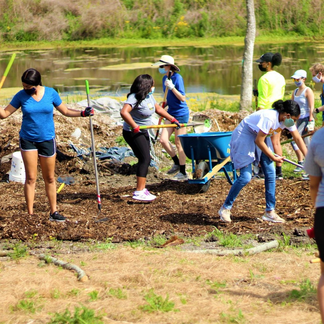 Sankofa Green Team Volunteer Day 1