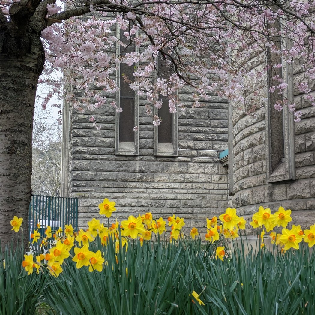 Église-Sainte-Jeanne-de-Chantal Garden 1