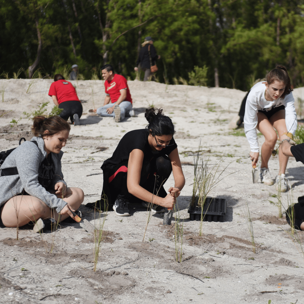 Community Planting Day at Haulover Park 2