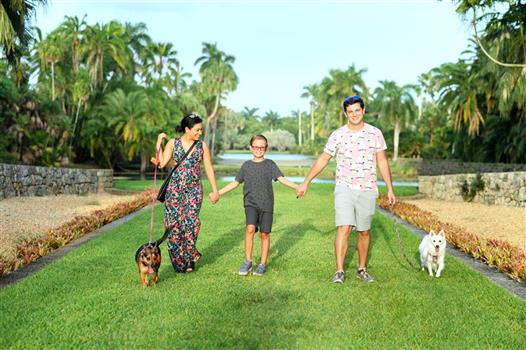 Dog Date Stroll 2