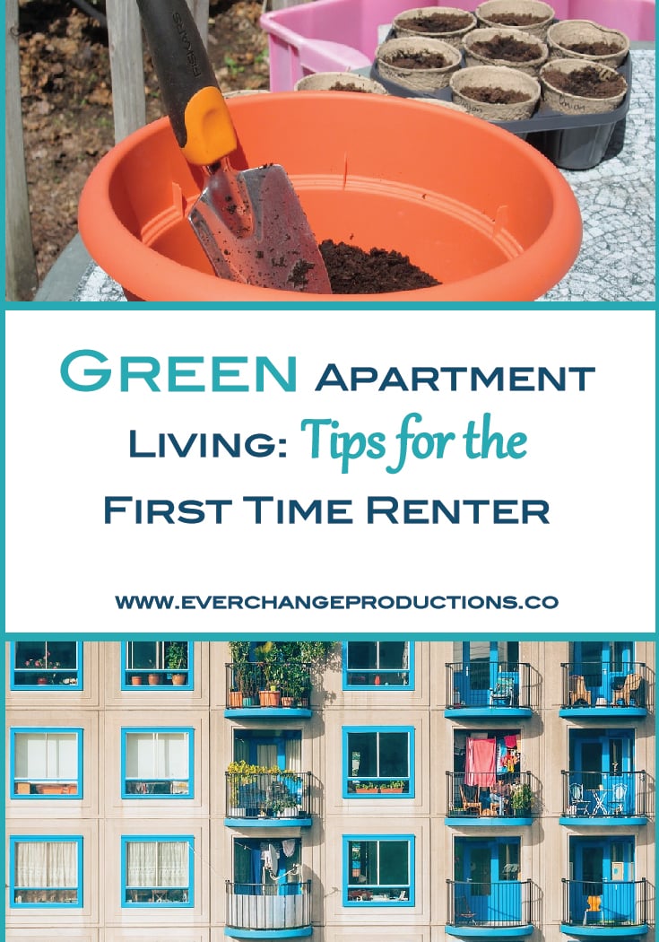 Sustainable Living 101 for Renters 3