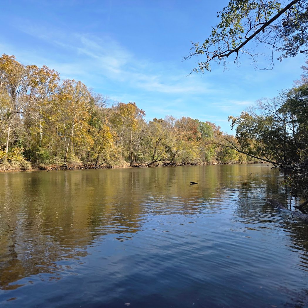 South Tar River Greenway 1