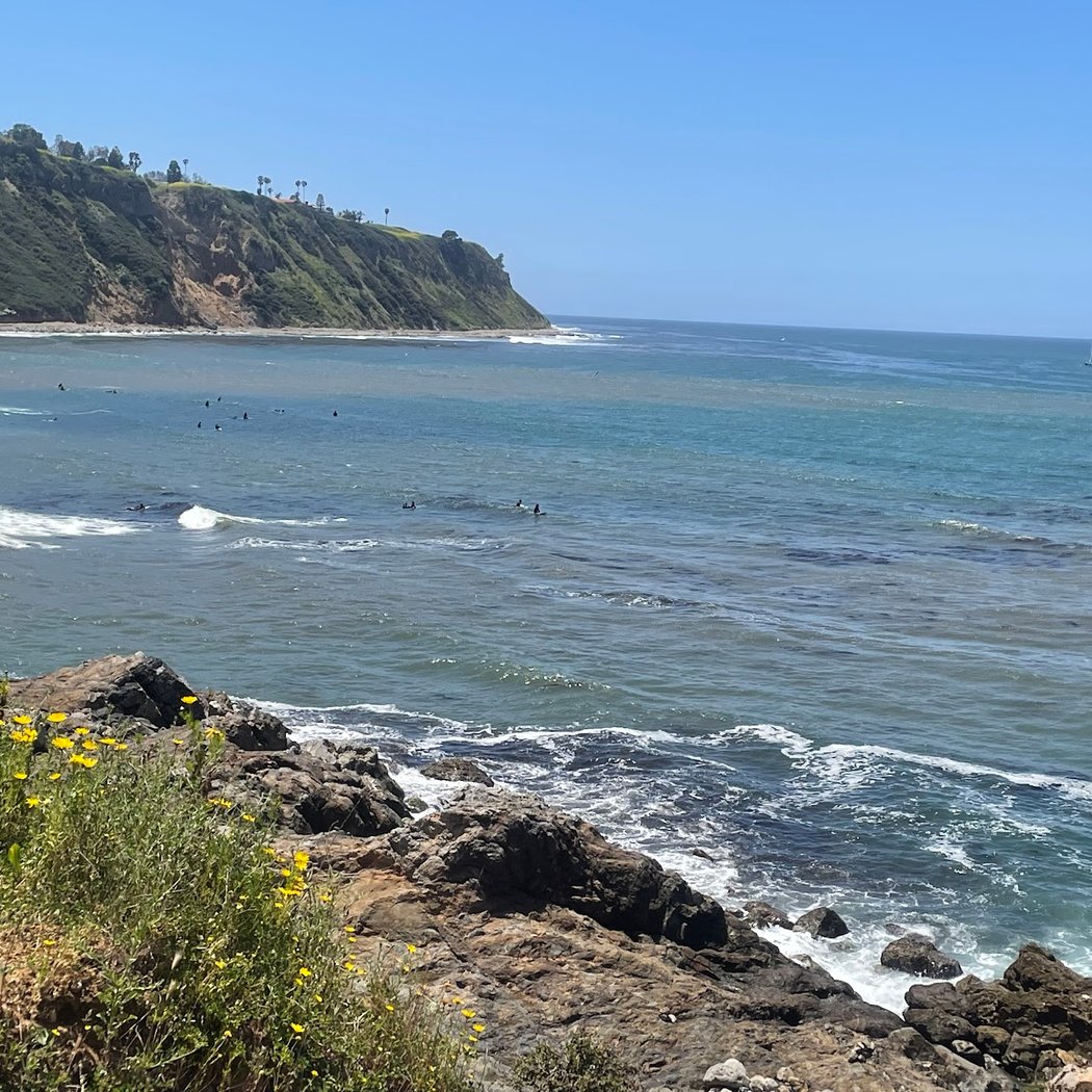 Bluff Cove Trail 2