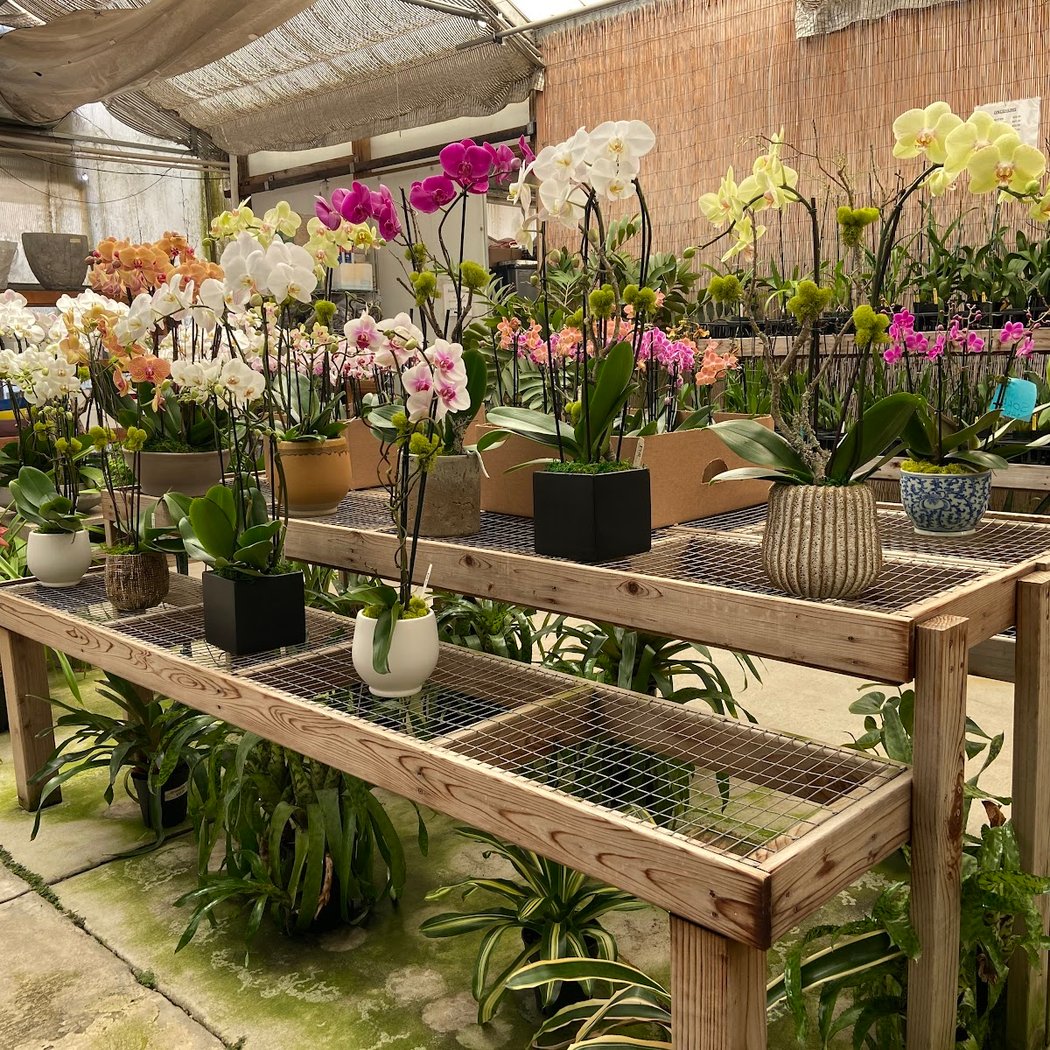 Brookside Orchids 1