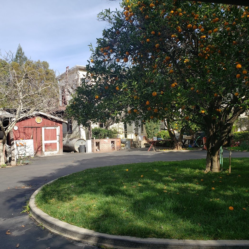 Novakovich Orchards 3