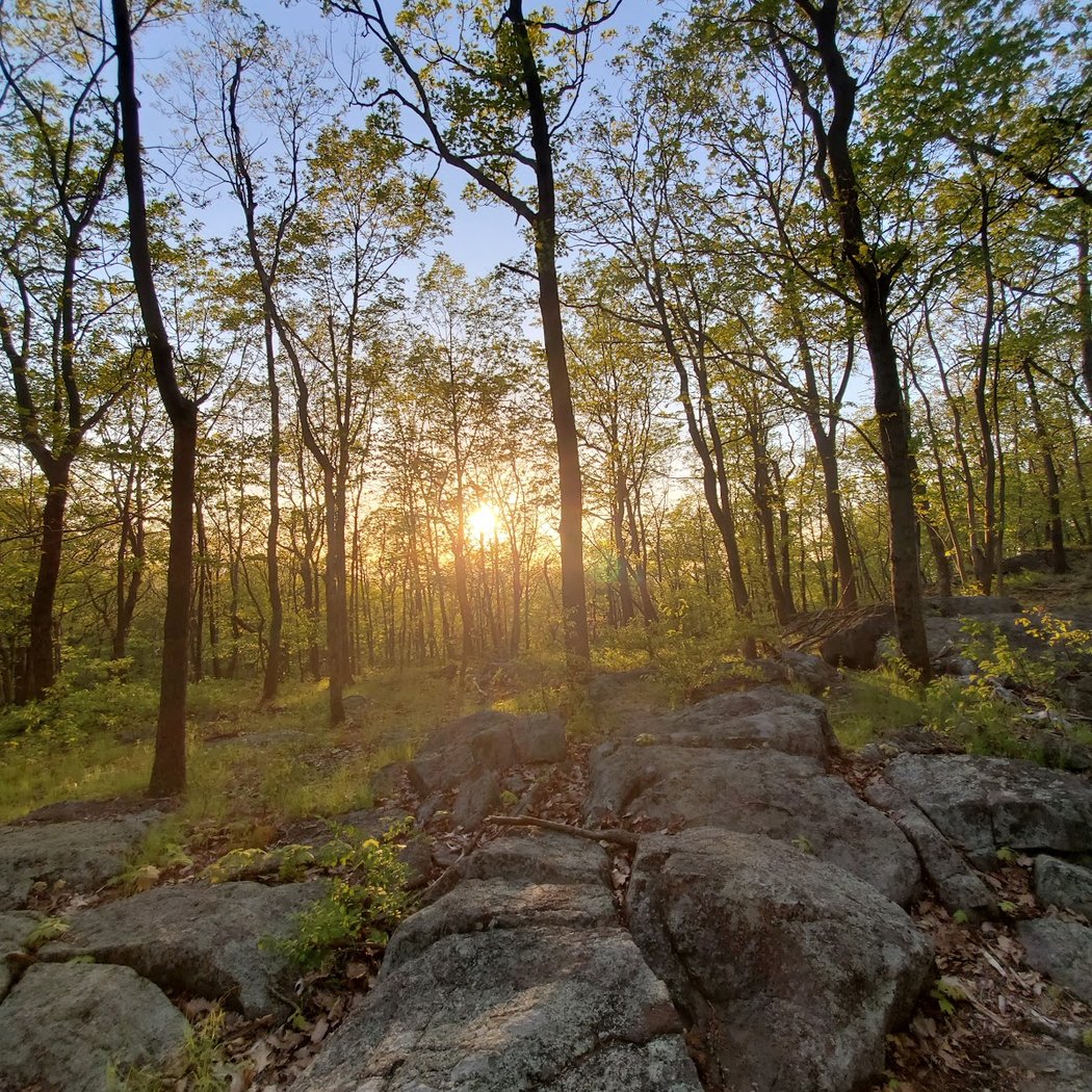 Turkey Mountain Nature Preserve 2