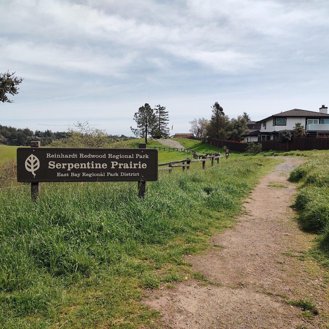 Serpentine Prairie 3