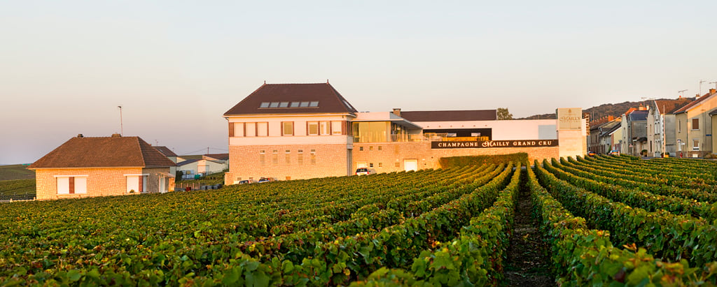 Champagne Mailly Grand Cru 1
