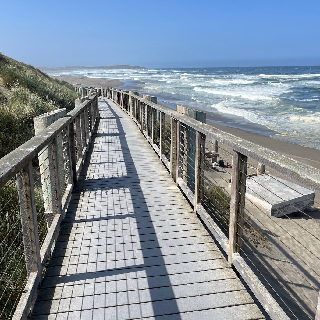 Birding at Bodega Dunes 2