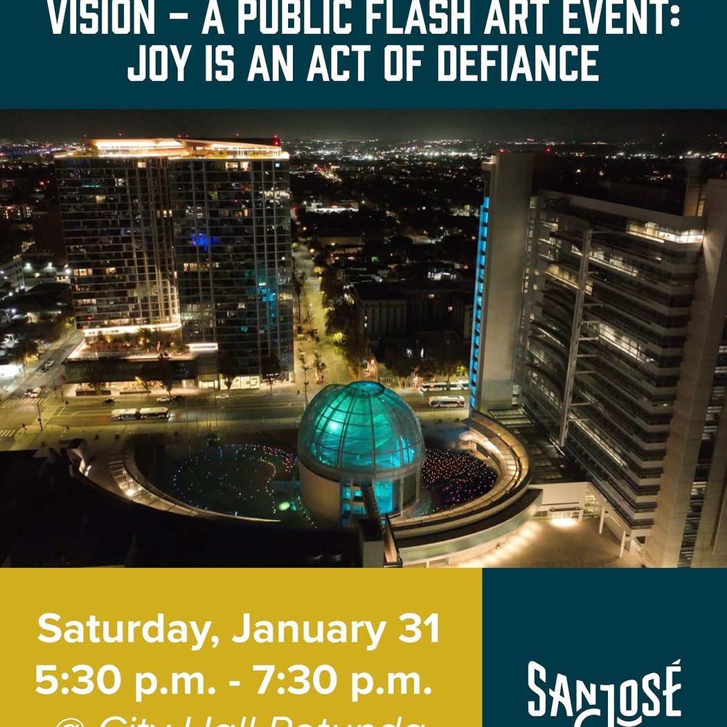 Invisible Skies Vision - A Public Flash Art Event: Joy Is An Act of Defiance 1