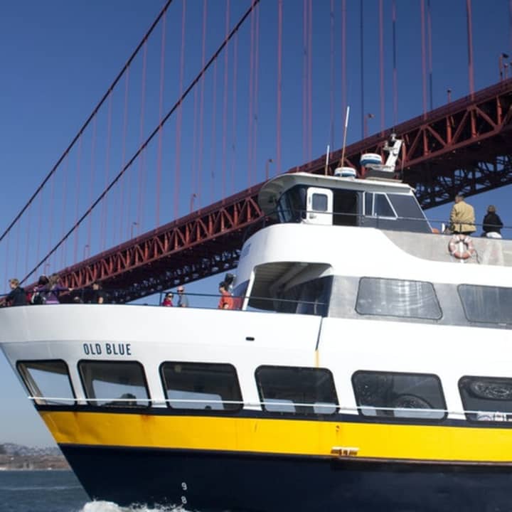 Escape from the Rock: Bay Cruise 3