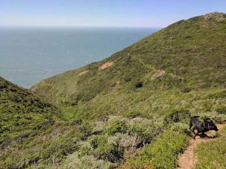 California Coastal Trail 2