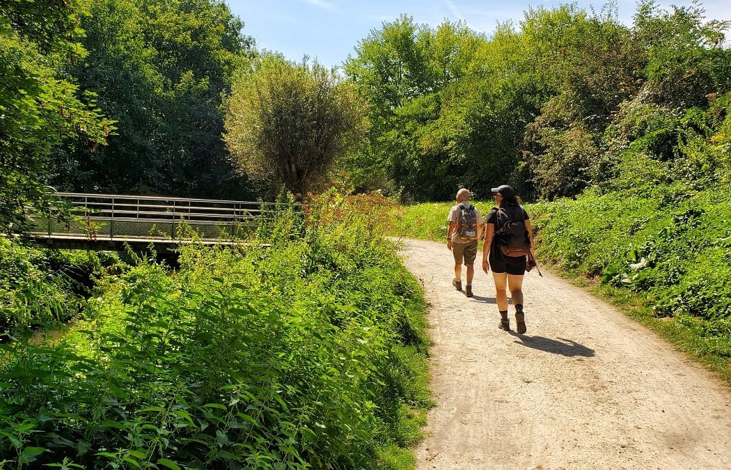 Forêt Régionale de Gros Bois 2