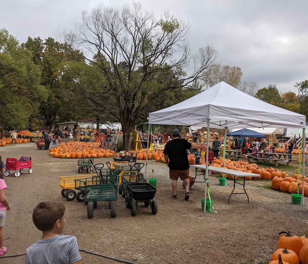 Blaser's Acres Fall Fest 2