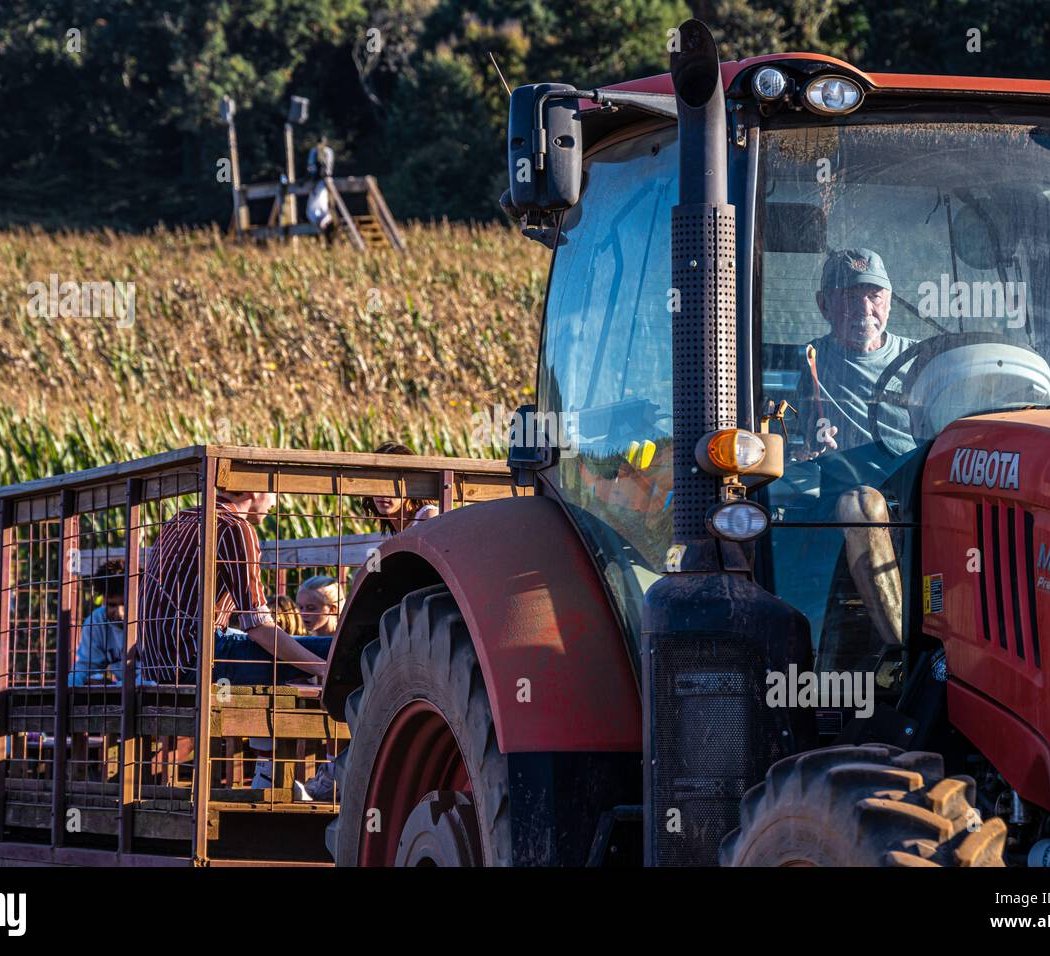 Harvest Celebration & Corn Maze 2