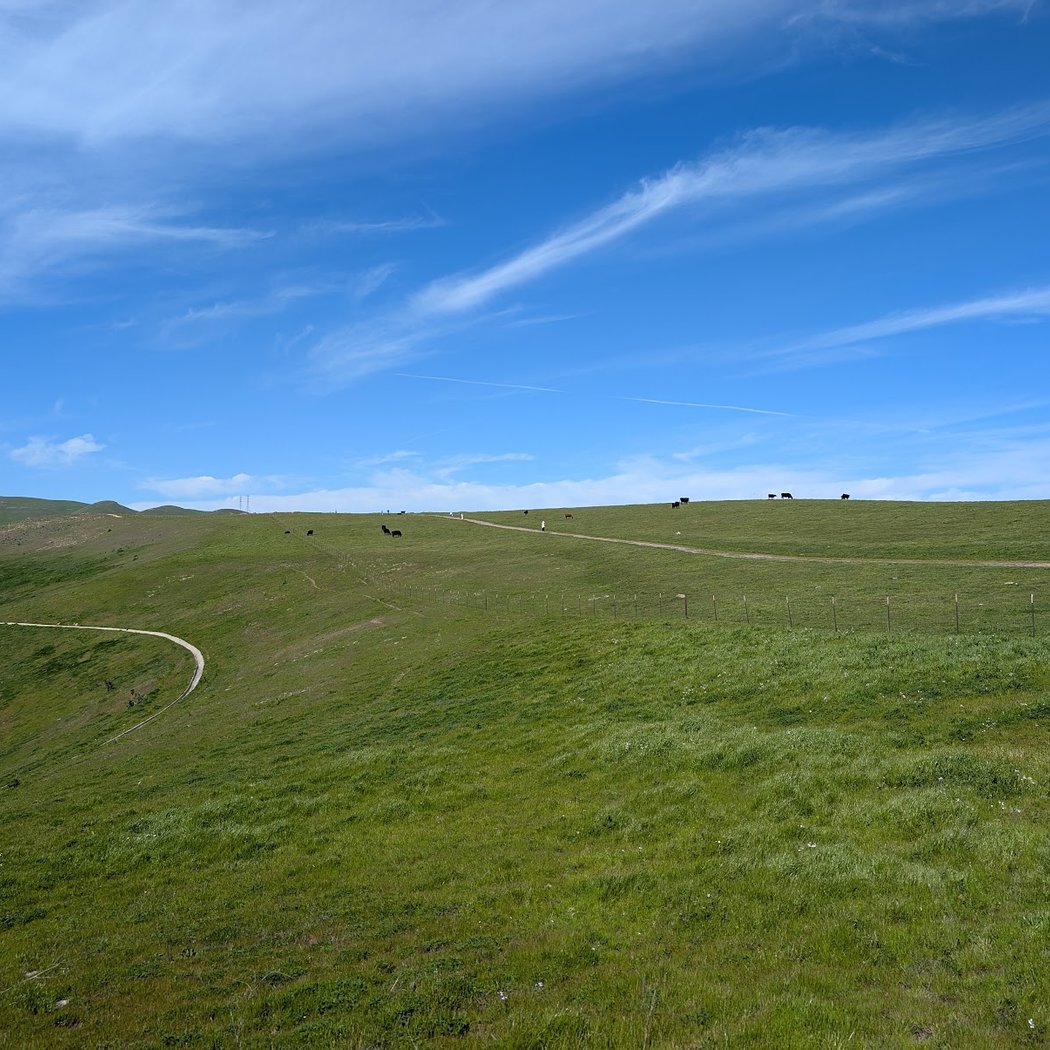 Dublin Hills Regional Open Space Preserve 3