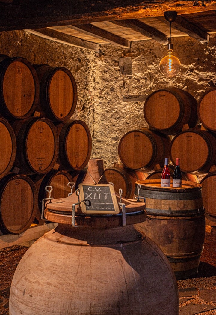 Domaine Etxondoa 2