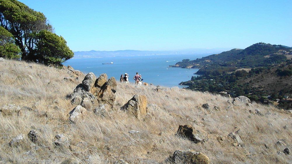 Ring Mountain Preserve 2