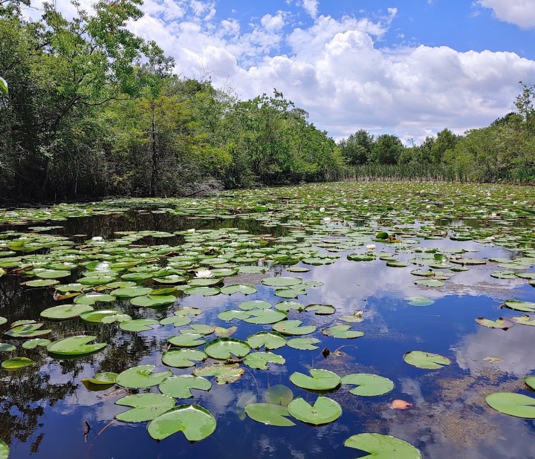 Sheldon Lake State Park & Environmental Learning Center 2