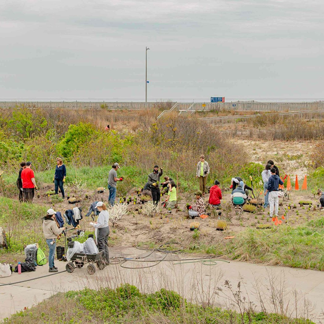 Volunteer Shifts in the Rockaways