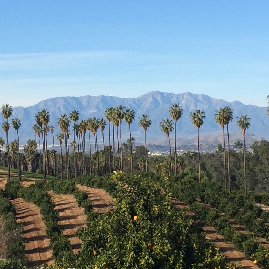 California Citrus State Historic Park Event 3