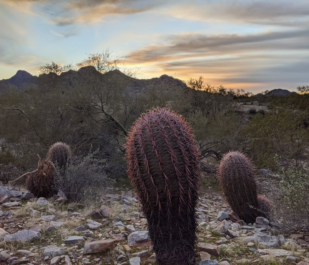 Spectacular Sunrise Guided Hike in Phoenix 3