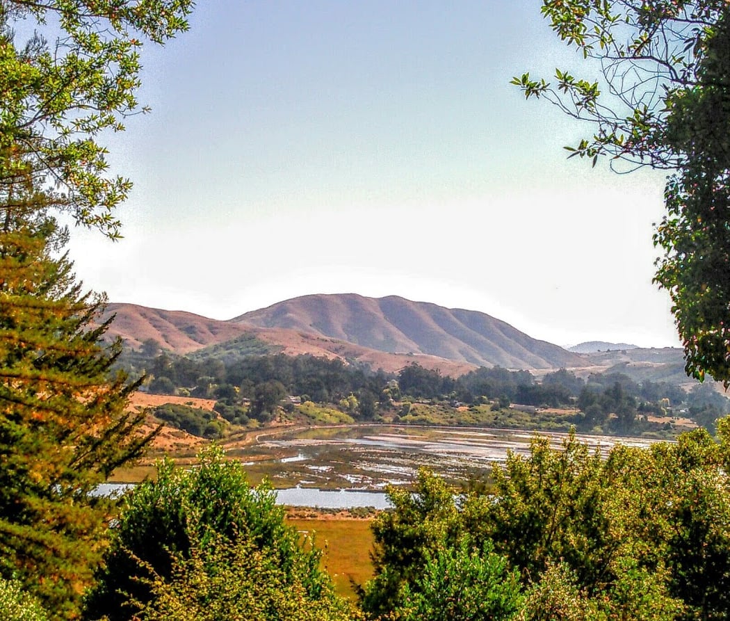 Olema Marsh 1