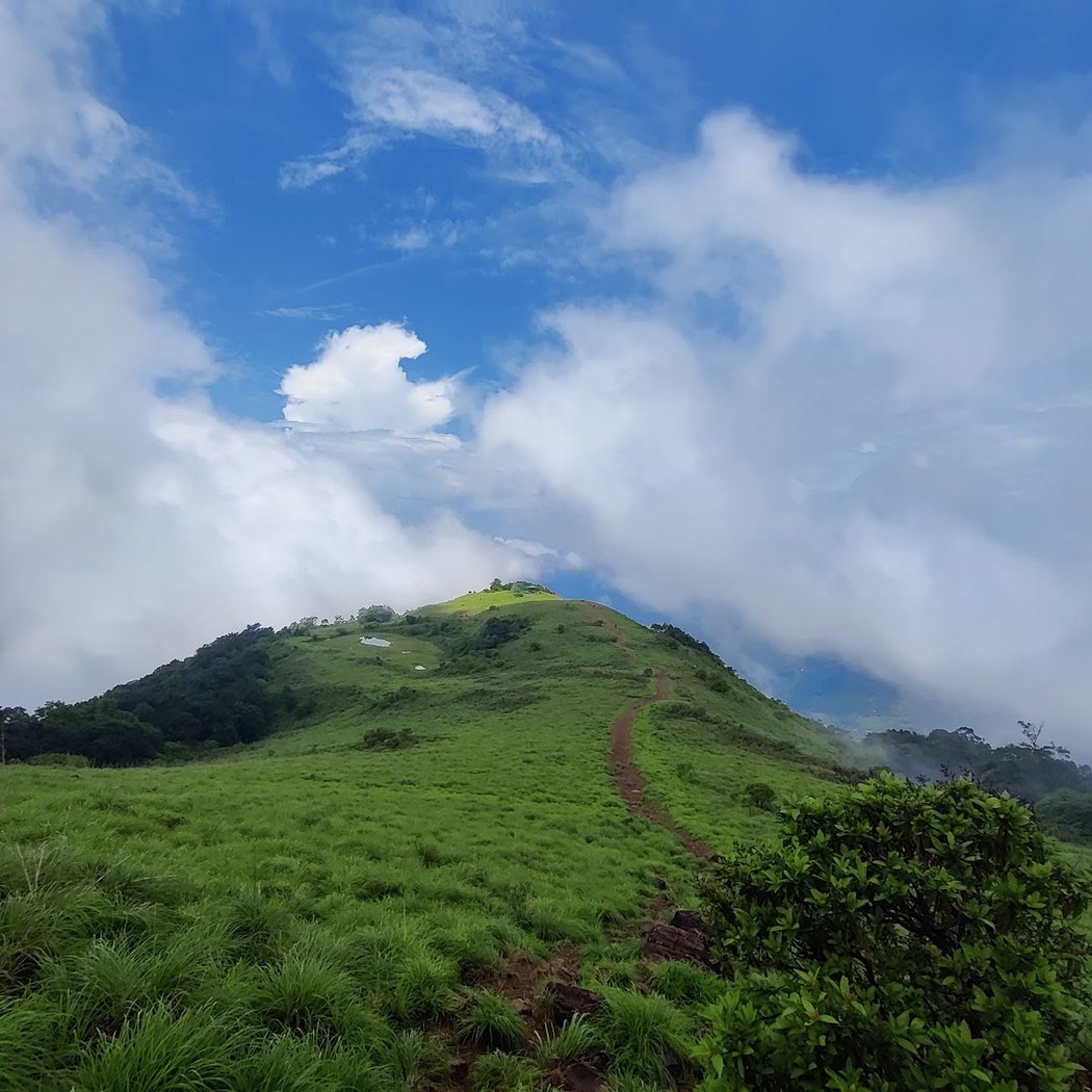 Paithalmala Trek 1