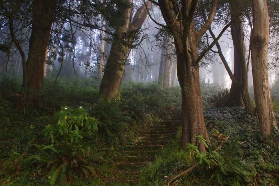 Mount Davidson 2