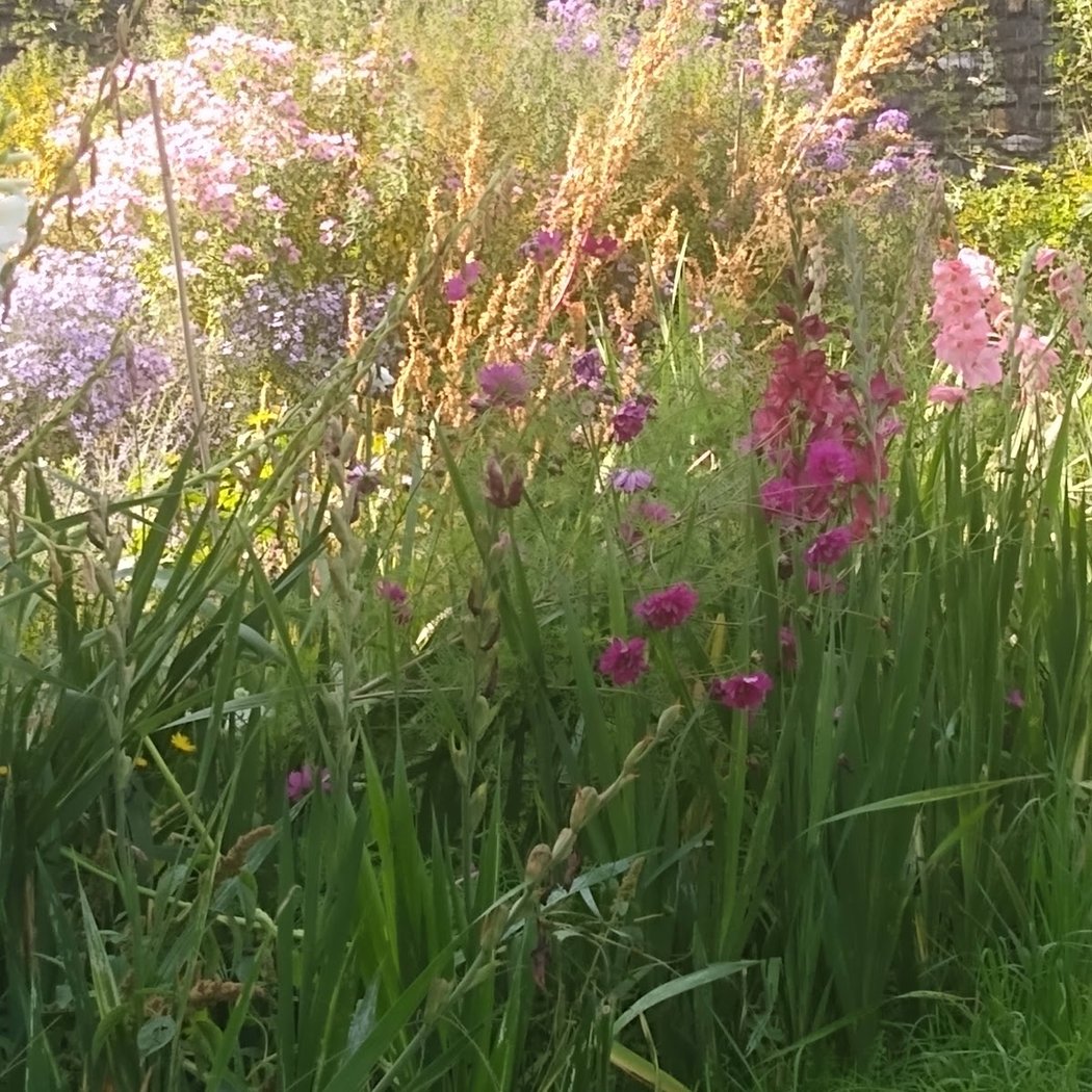 Plein Air • Floriculture 3