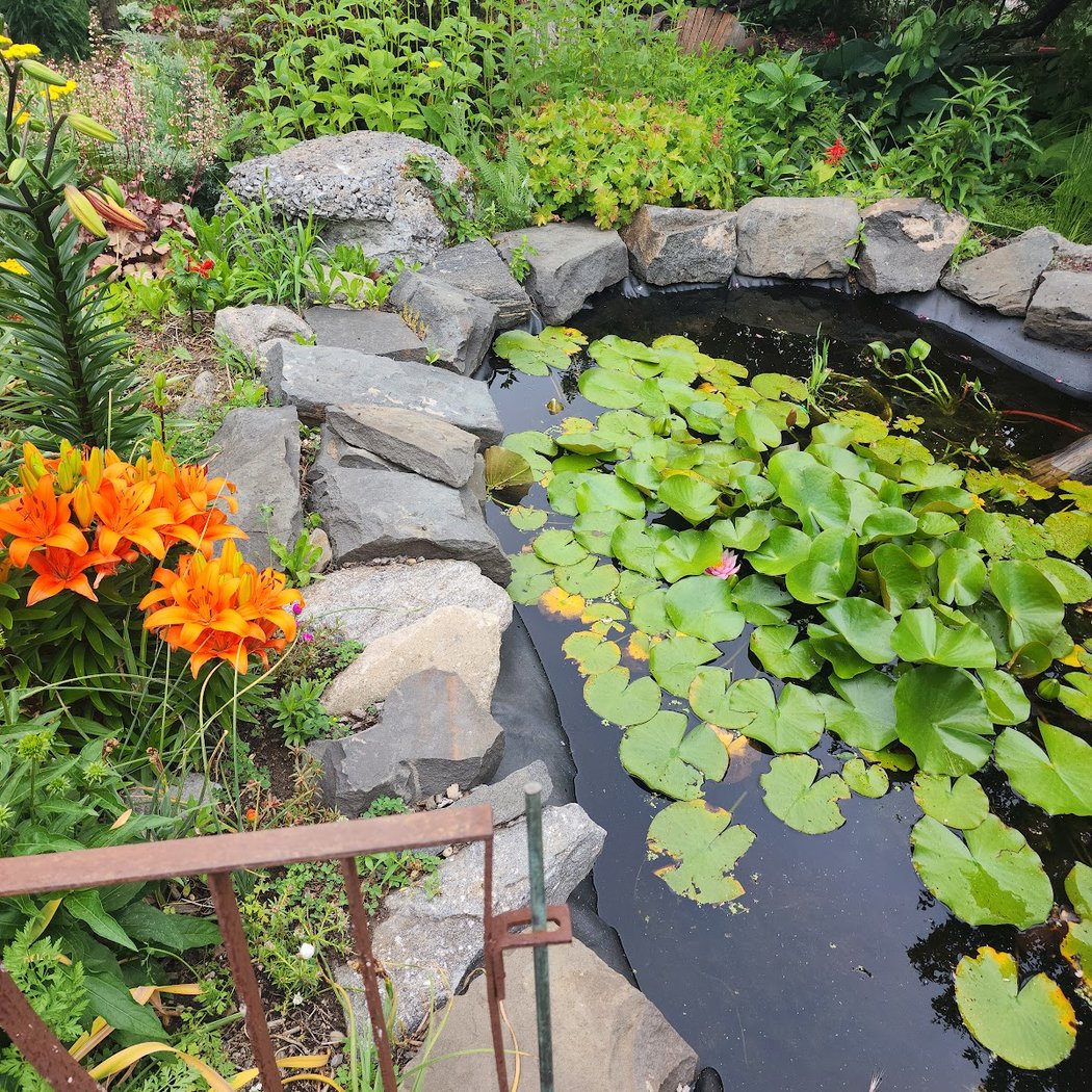 Lentol Garden 2
