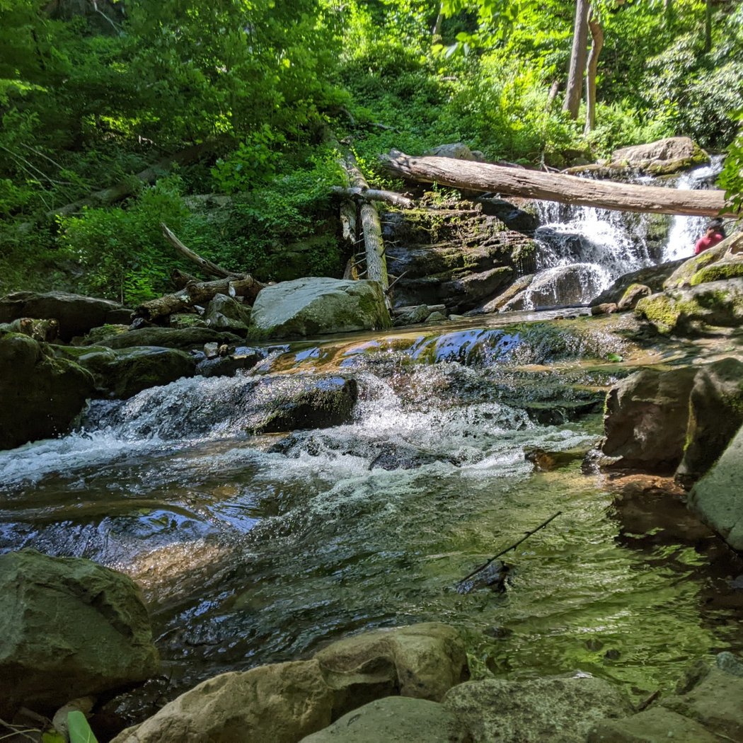 Mount Tammany 3