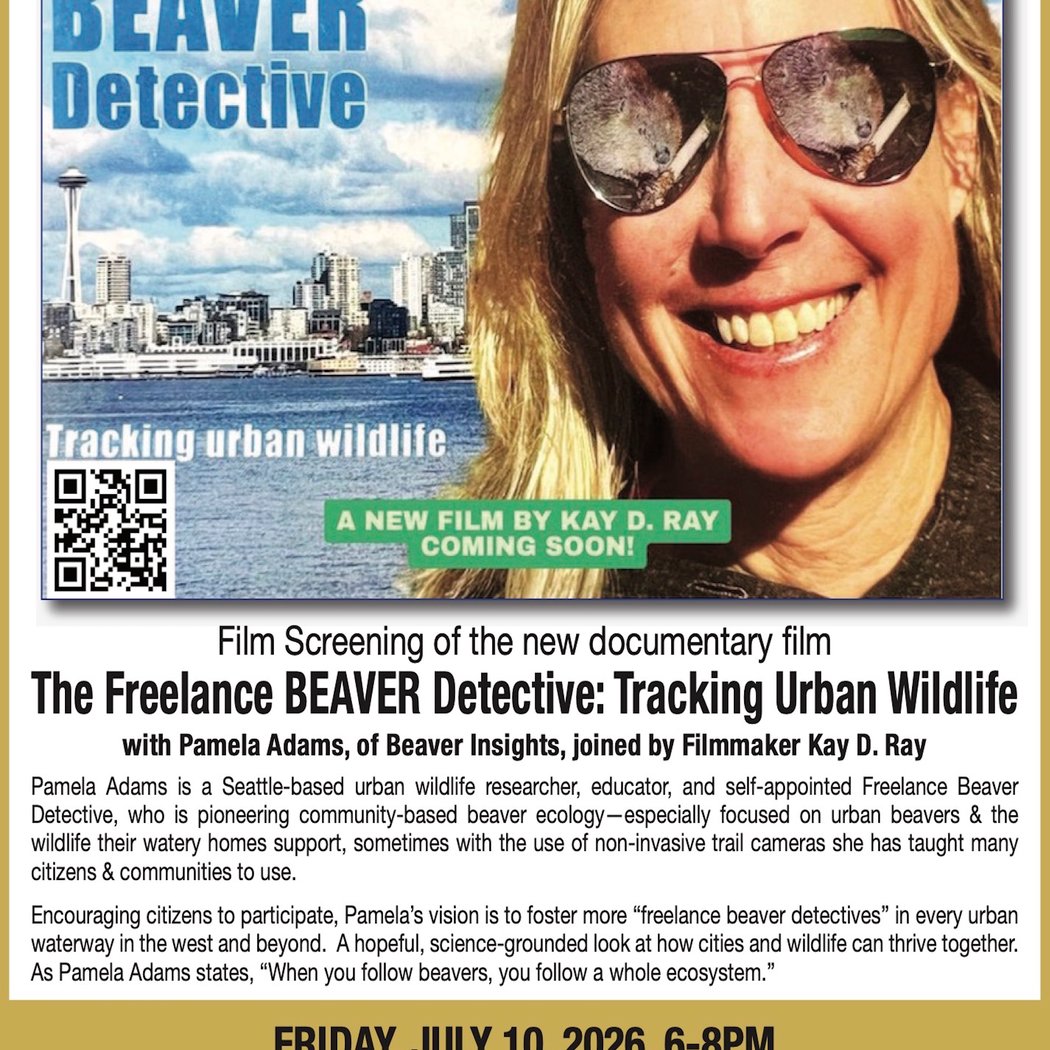 The Freelance Beaver Detective Film Premiere 1